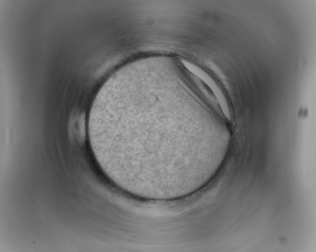 X0000090620020200708141422