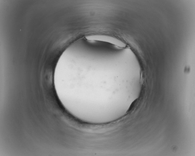 X0000090620021200708141422