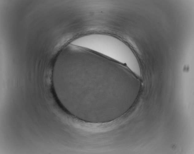 X0000090620023200708141422