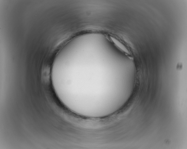 X0000090620024200708141422