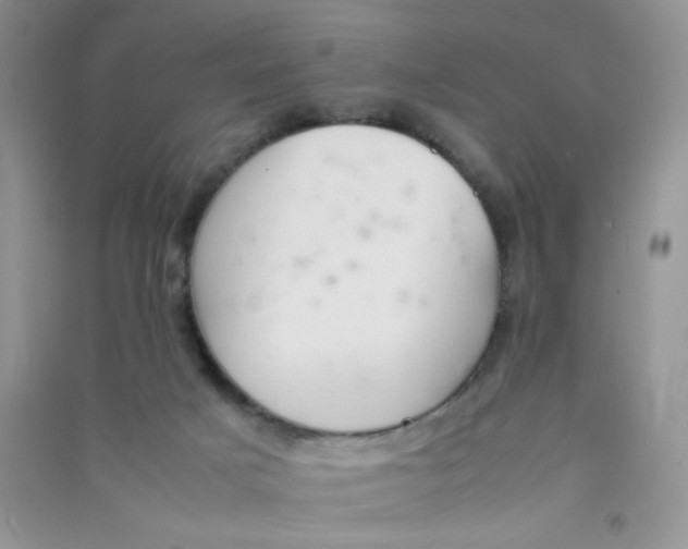 X0000090620025200708141422