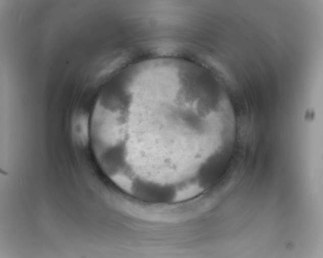 X0000090620028200708141422