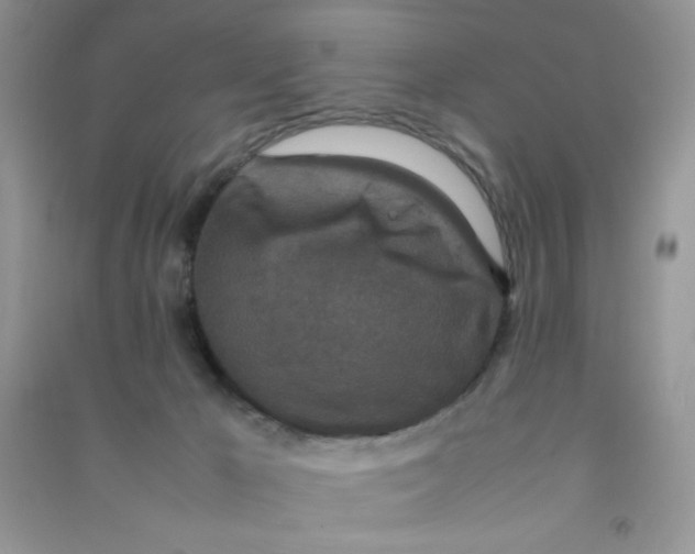 X0000090620029200708141422