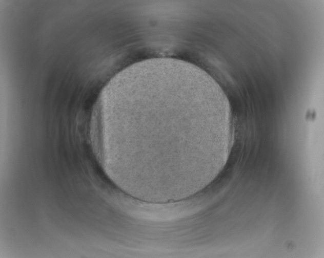 X0000090620030200708141422