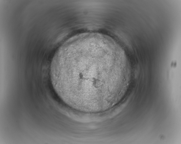 X0000090620032200708141422