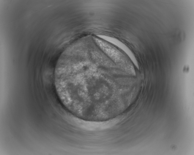 X0000090620034200708141422