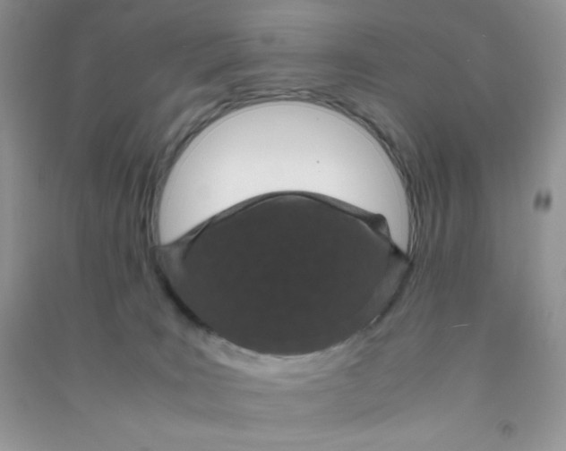 X0000090620035200708141422