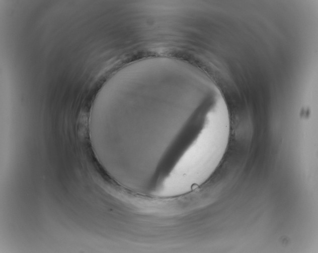 X0000090620036200708141422