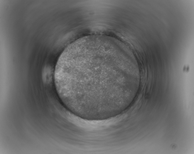 X0000090620038200708141422