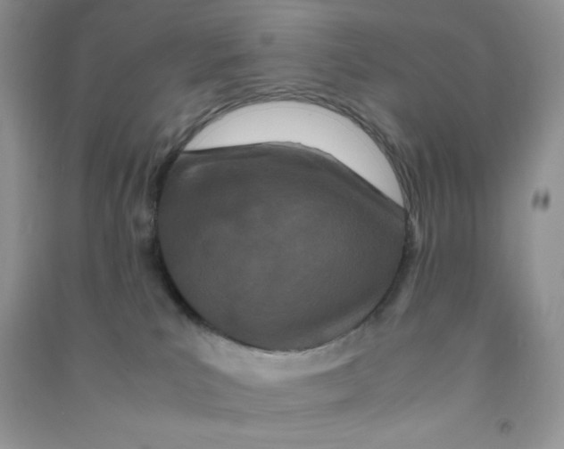 X0000090620039200708141422