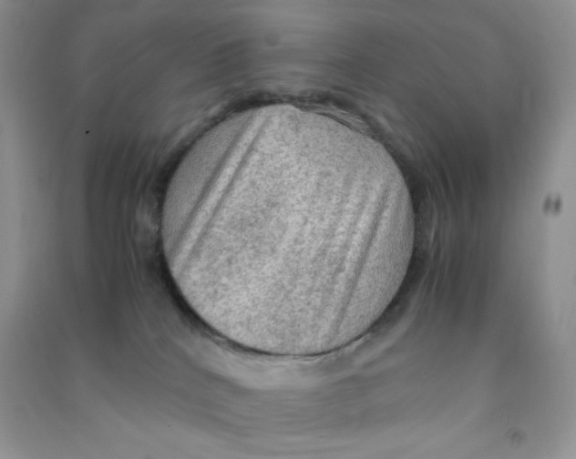 X0000090620040200708141422