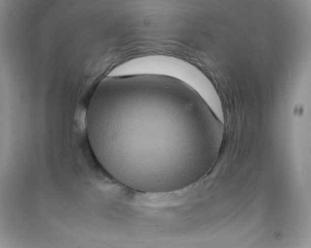 X0000090620041200708141422