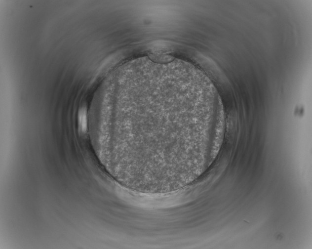 X0000090620046200708141422