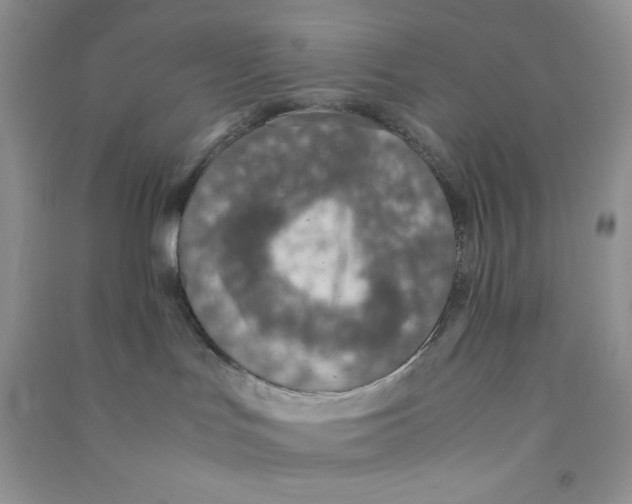 X0000090620047200708141422