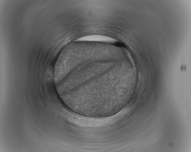 X0000090620048200708141422