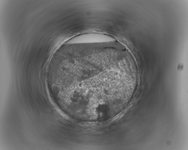 X0000090620049200708141421