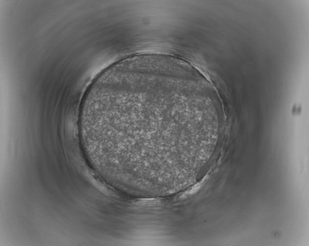 X0000090620050200708141421