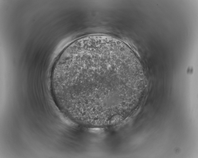 X0000090620053200708141421