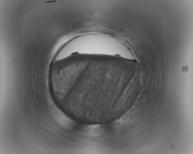 X0000090620054200708141421