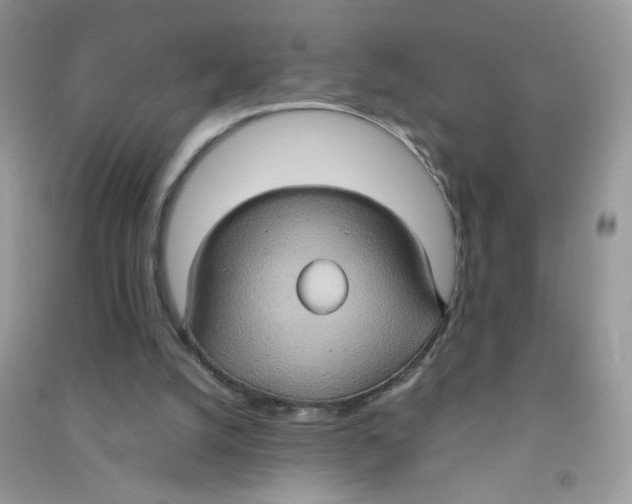 X0000090620056200708141421