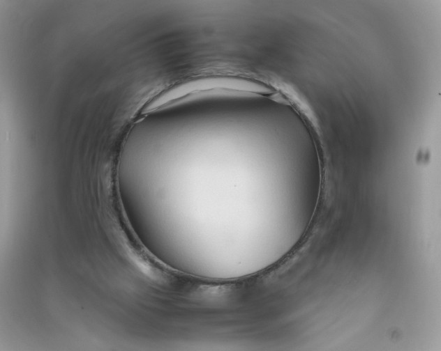 X0000090620057200708141421