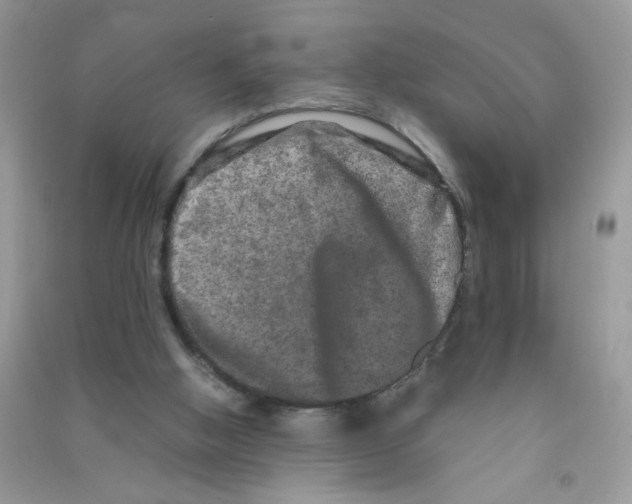 X0000090620058200708141421