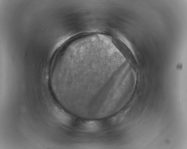 X0000090620059200708141421