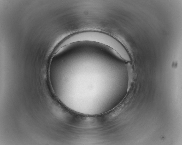 X0000090620060200708141421