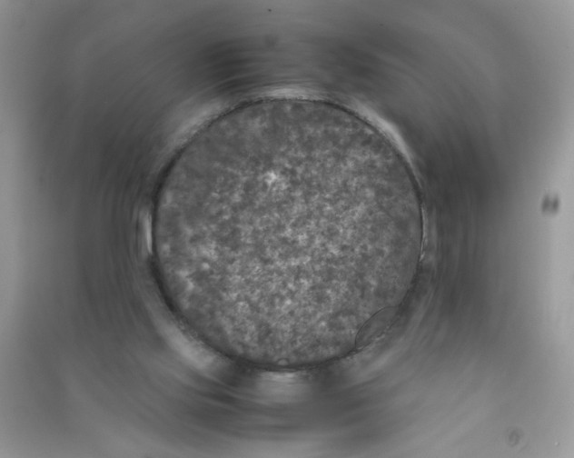 X0000090620061200708141421