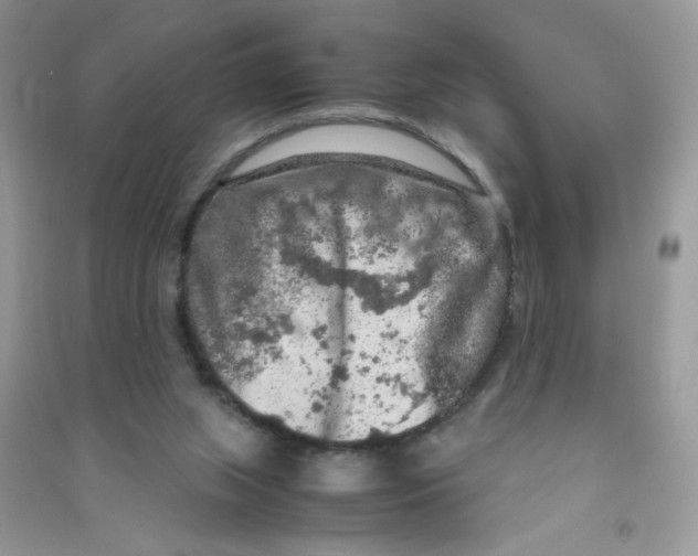 X0000090620063200708141421