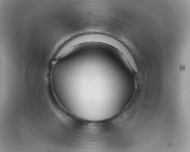 X0000090620064200708141421