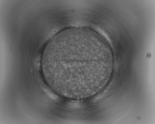 X0000090620065200708141421