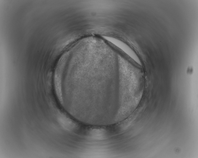 X0000090620066200708141421