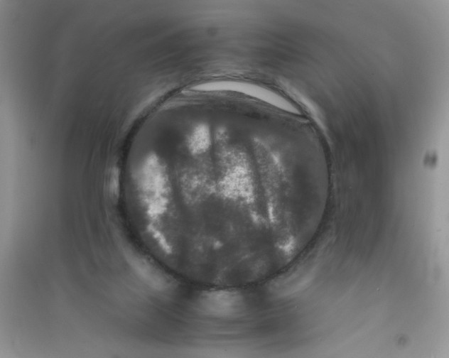 X0000090620067200708141421