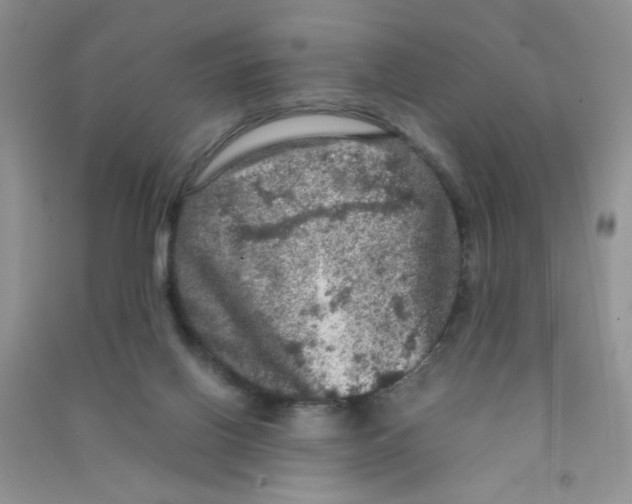 X0000090620070200708141421