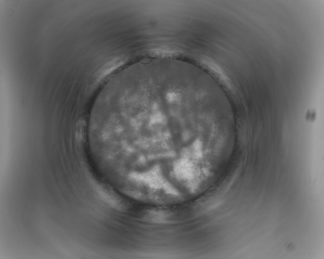 X0000090620071200708141421