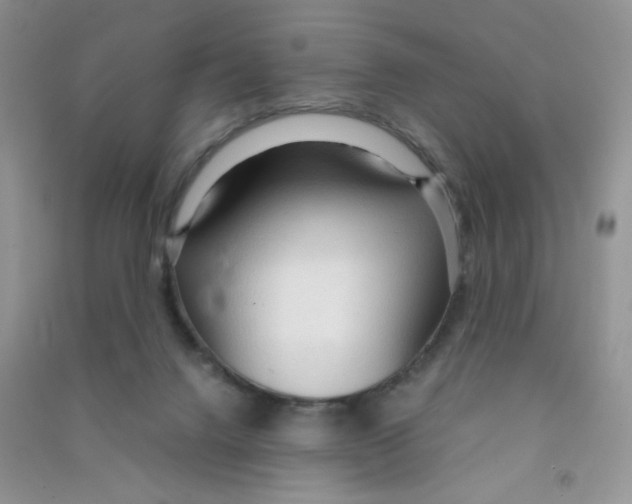 X0000090620072200708141421