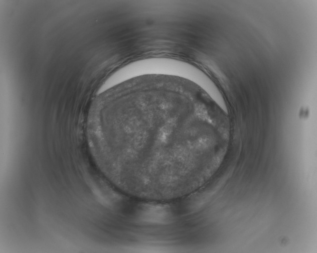 X0000090620073200708141421