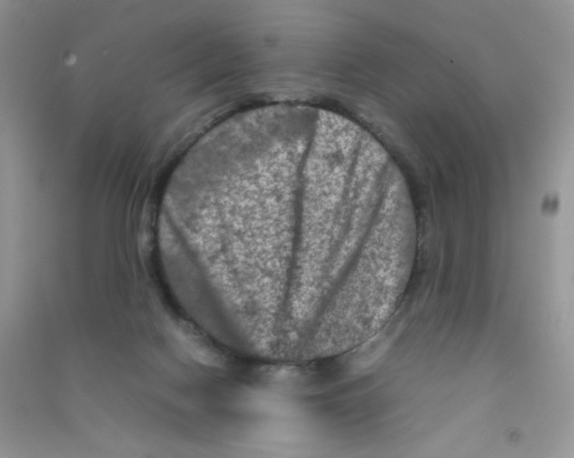 X0000090620074200708141421