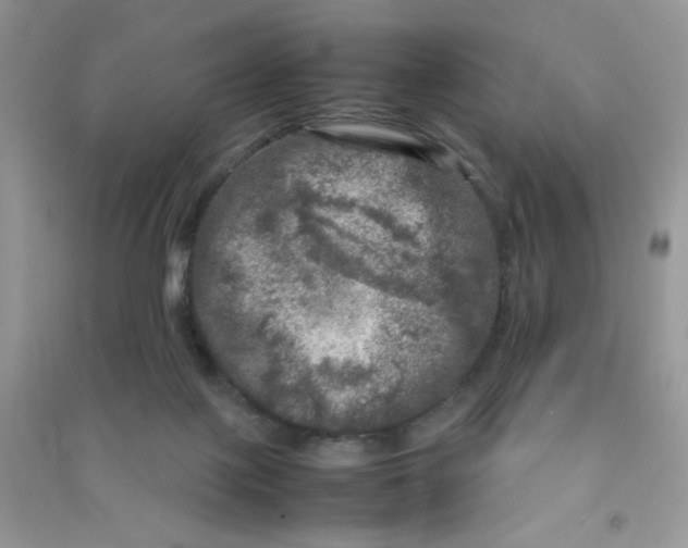 X0000090620075200708141421