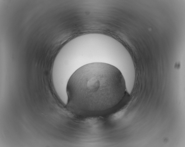 X0000090620076200708141421