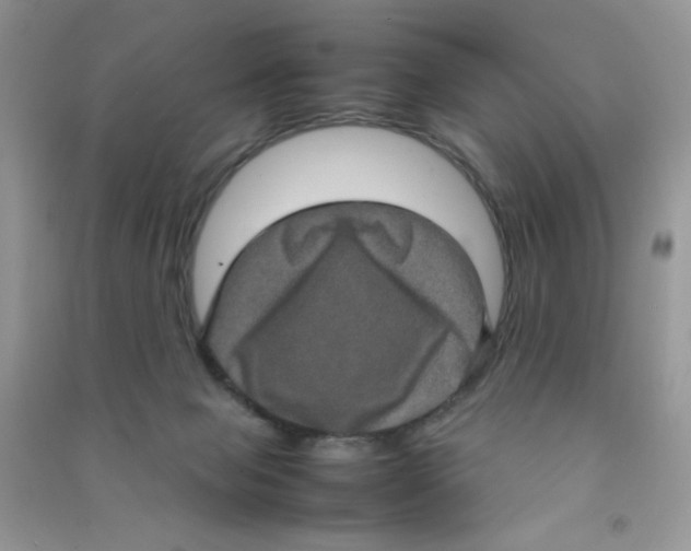 X0000090620077200708141421