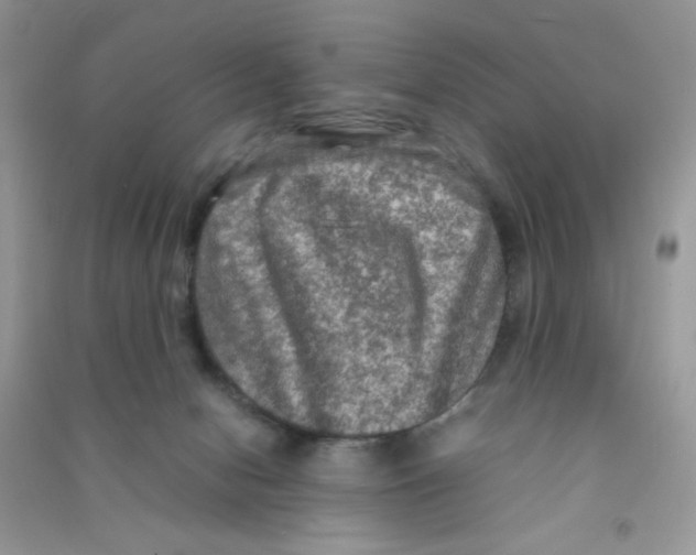 X0000090620078200708141422