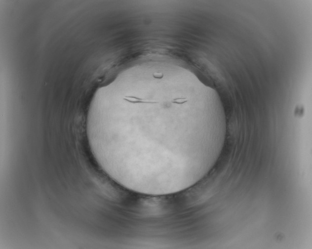 X0000090620079200708141422