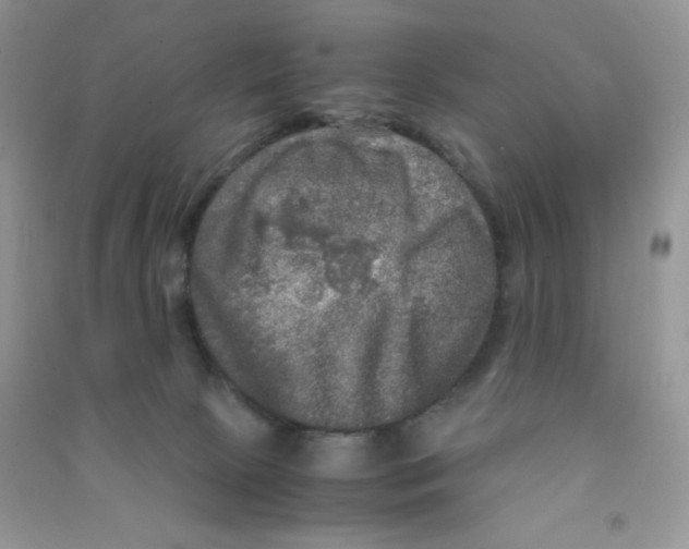 X0000090620081200708141422