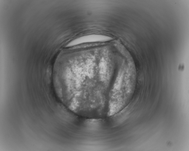 X0000090620082200708141422