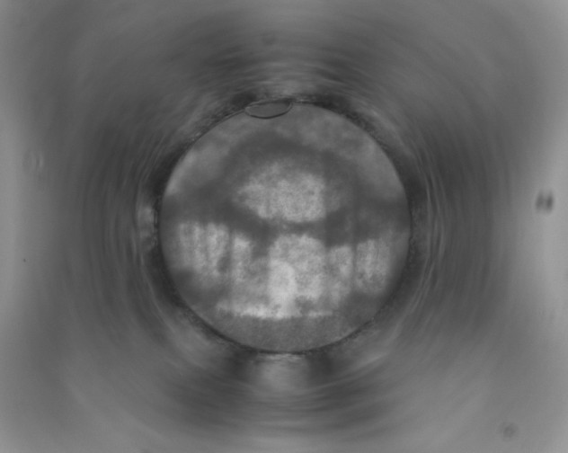 X0000090620087200708141422