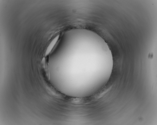 X0000090620088200708141422