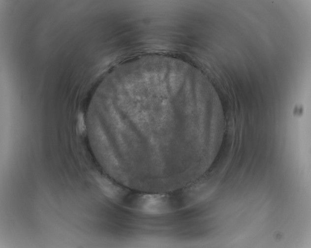 X0000090620089200708141422