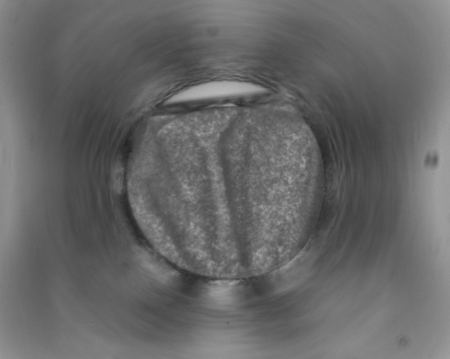 X0000090620090200708141422